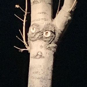 Meet your Posher, Craig